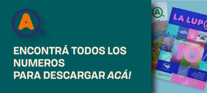 Ver ediciones completas
