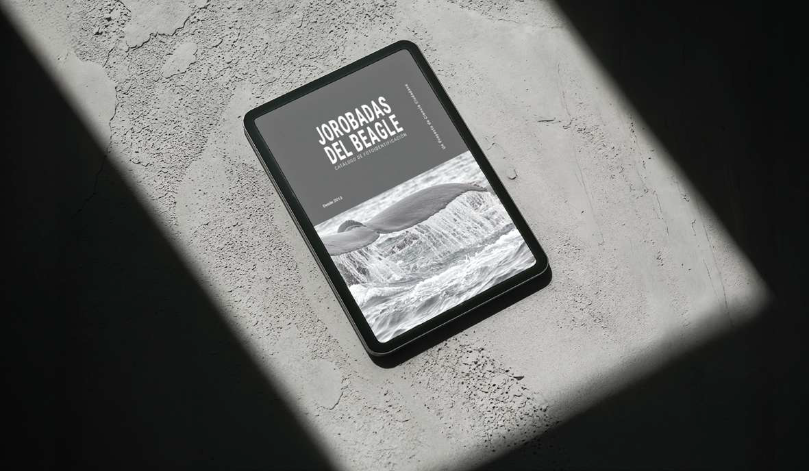 Jorobadas del Beagle. Catálogo de fotoidentificación 2013-2024